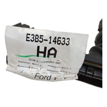 Chicote Porta Traseira Esquerda Ford Ka 1.0 2018 Detalhe