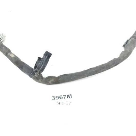 Cabo Polo Positivo Bateria Ford Focus 2016