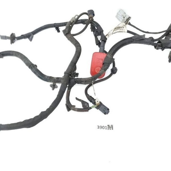 Chicote Motor Citroen Jumpy 2020 9801722680