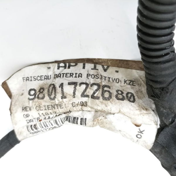 Chicote Motor Citroen Jumpy 2020 9801722680