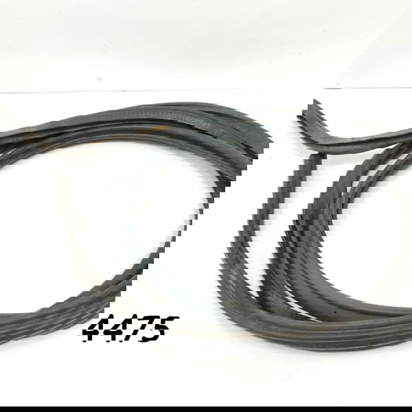 Borracha Porta Direita Mercedes Benz Axor 1933 2008