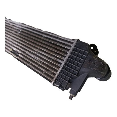 Radiador Intercooler Ìveco Daily 35s14 2016 Detalhe