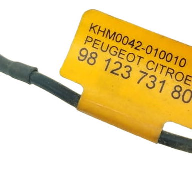 Microfone Teto Peugeot 208 2016 Meia
