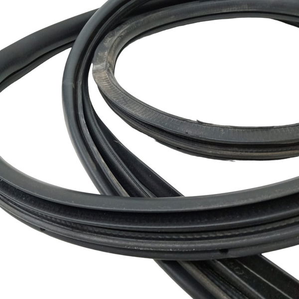 Borracha Porta Traseira Esquerda Ford Fusion 2.3 2008
