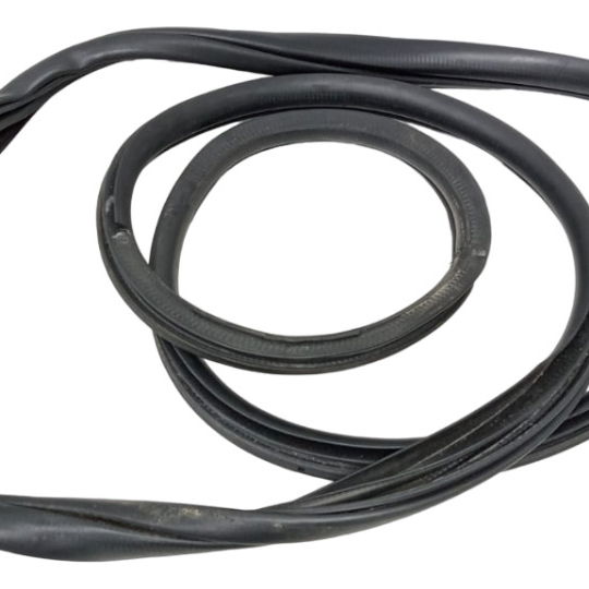 Borracha Porta Traseira Direita Ford Fusion 2.3 2008