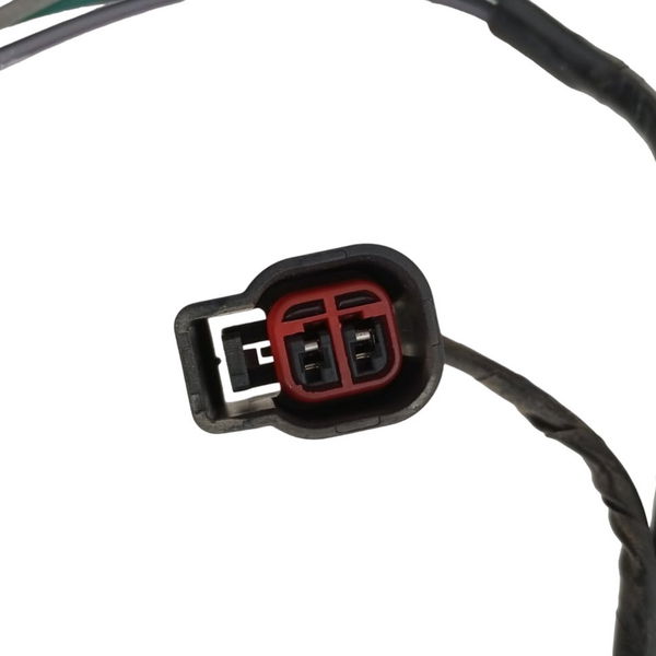 Chicote Porta Traseira Esquerda Ford Fusion 2.3 2008