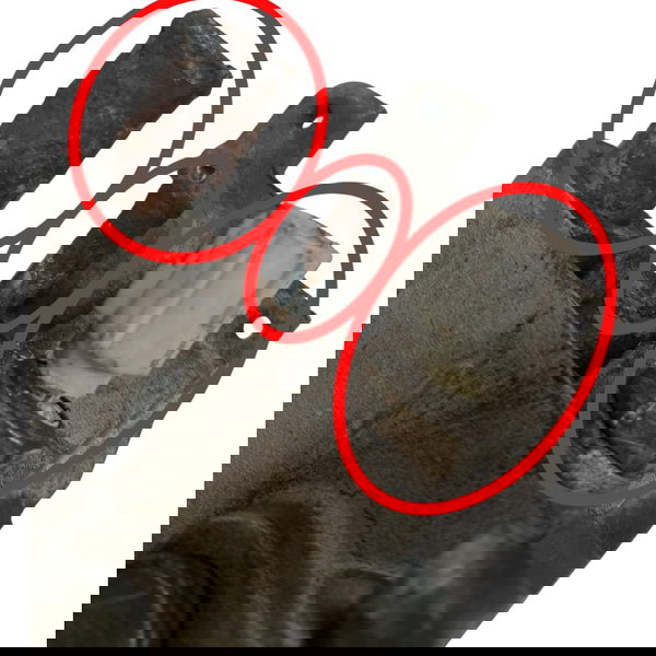 Carcaça Sensor Temperatura Ford Fusion 2.3 2008 Detalhe