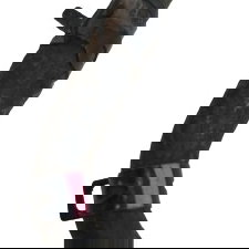 Mangueira Bomba Limpador Parabrisa Hyundai Hb20 Hatch 2019