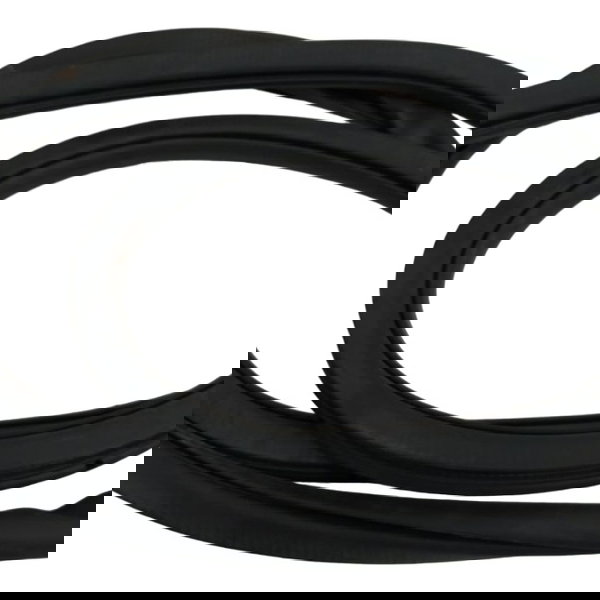 Borracha Porta Traseira Esquerda Jeep Compass Gasolina 2020