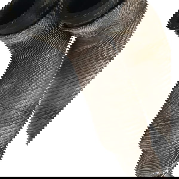 Cano Mangueira Água Jeep Compass Gasolina 2020