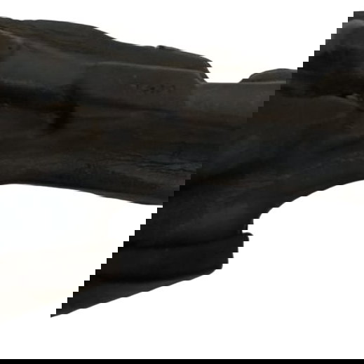 Espuma Protetor Jeep Compass Gasolina 2020 50046168