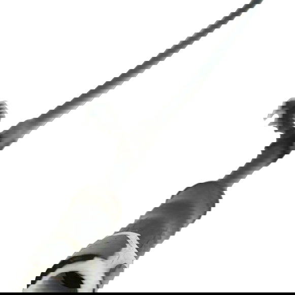 Esguicho Brucutu Jeep Compass Gasolina 2020