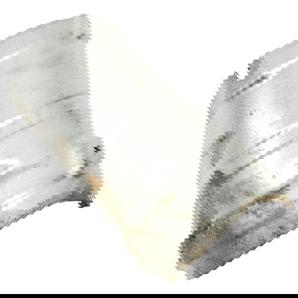 Protetor Térmico Catalisador Jeep Compass 2020 N3