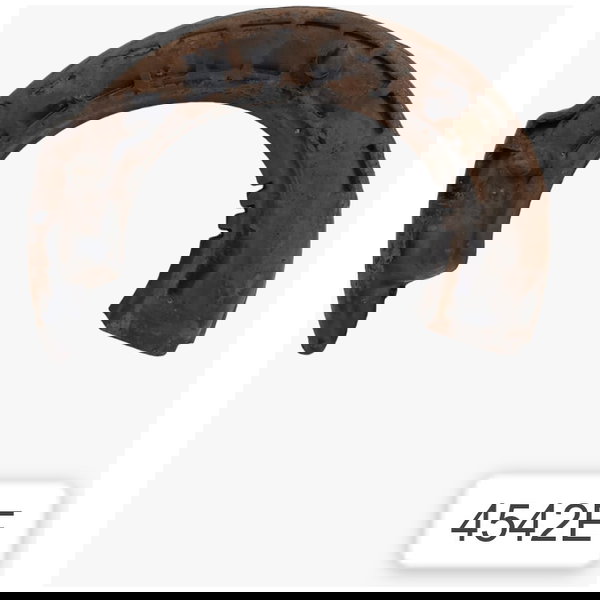 Calco Inferior Amortecedor Traseiro Direit Jeep Compass 2020