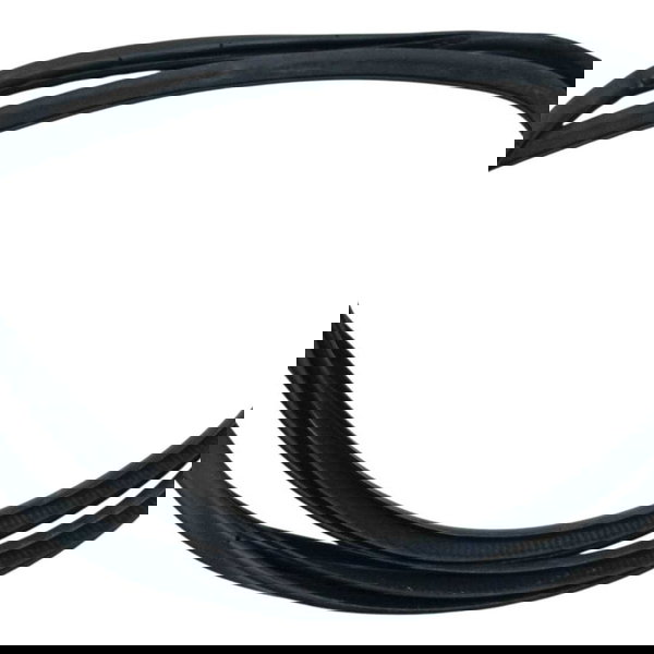 Borracha Porta Traseira Direita Nissan Frontier 2022 Cinza