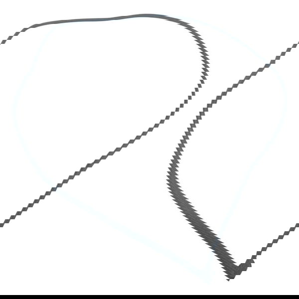 Borracha Vedação Porta Dianteira Dir Toyota Corolla 2018 Preto