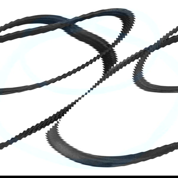 Borracha Porta Traseira Esquerda Renault Sandero 2018 Preto