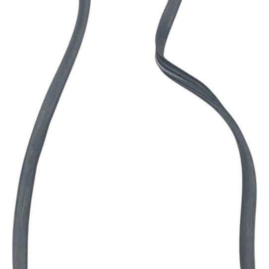 Borracha Porta Dianteira Esquerda Renault Sandero 2019 Preto