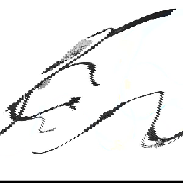 Chicote Luz Placa Renault Sandero 2018 241631715r