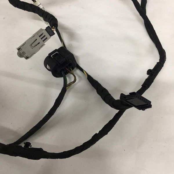 Chicote Porta Traseira Direita Bmw 320i Gt 2015