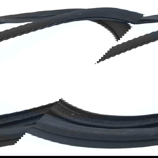 Borracha Porta Dianteira Esquerda Mercedes Cls 450 Amg 2019 Preto