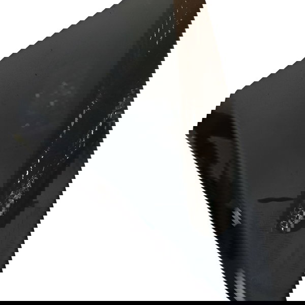 Aplique Externa Porta Dia Esq Mercedes Cls 450 Amg 2019 Preto