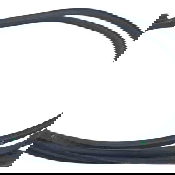 Borracha Vedação Porta Traseira Direita Nissan Kicks 2021 Preto