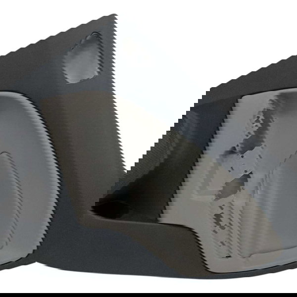 Forro Porta Traseiro Direito Ford Ecosport 2015