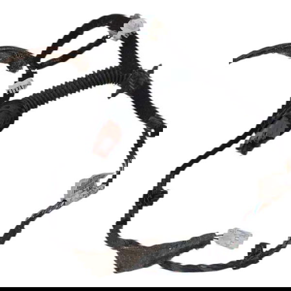 Chicote Porta Traseira Esquerda Renault Duster 2020