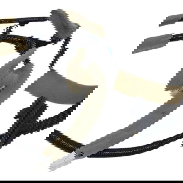 Chicote Porta Traseira Direita Nissan Leaf 2020 2021 2022