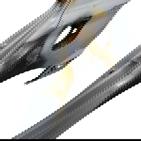 Folha Lateral Esquerdo Nissan Versa 2025 Cinza