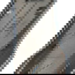 Maçaneta Externa Dianteira Esquerada Nissan Kicks 2019 Cinza Dianteira