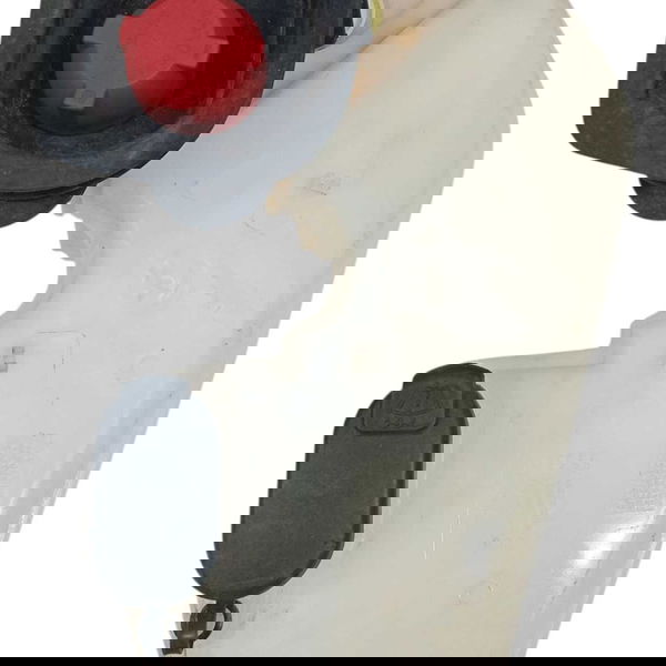 Reservatório Partida Frio Água Párabrisa Duster 2020