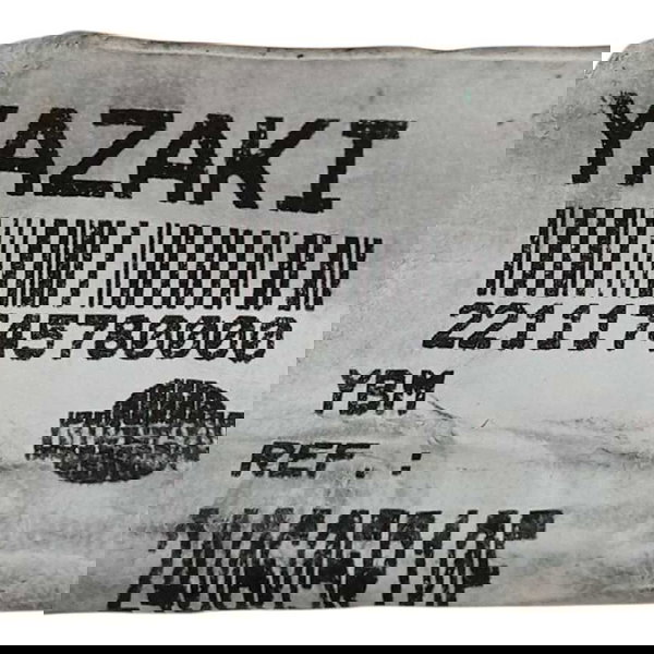 Chicote Nissan Kicks 2022 240605r10f