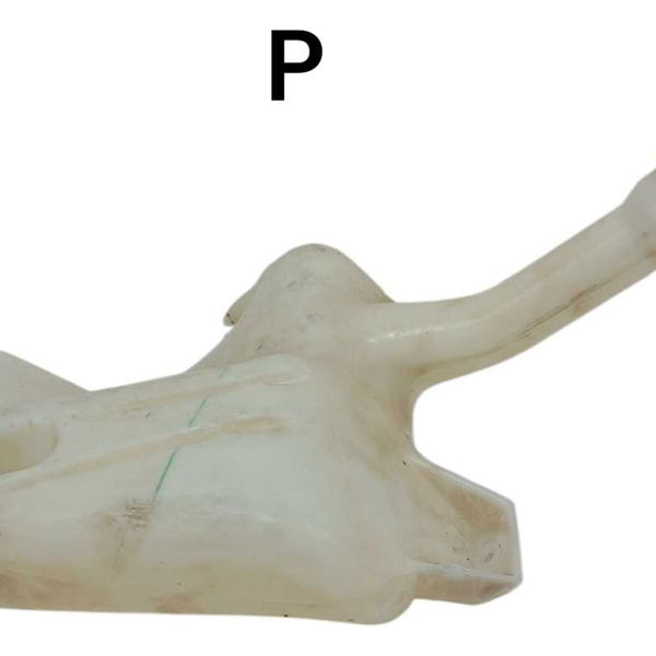 Reservatório Agua Parabrisa Ford Ecosport 2016