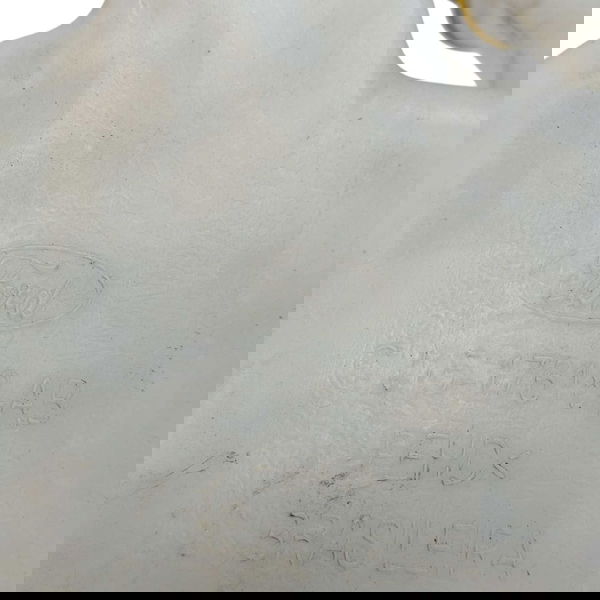 Reservatório Agua Parabrisa Ford Ecosport 2016