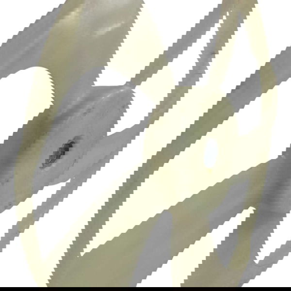 Ventoinha Radiador Toyota Corolla Gli 1.8 Cvt 2017 Detalhe