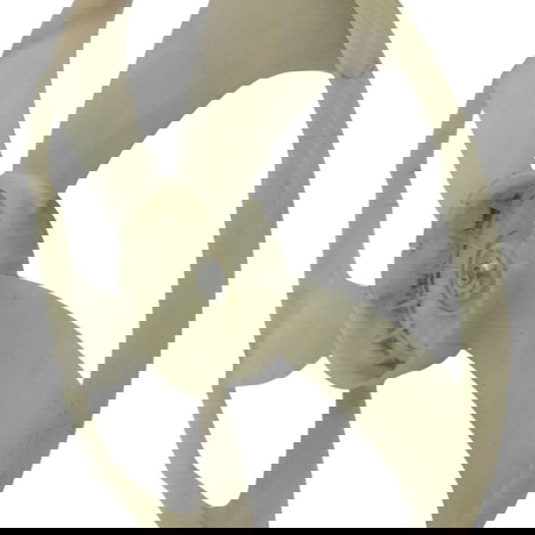 Ventoinha Radiador Toyota Corolla Gli 1.8 Cvt 2017 Detalhe