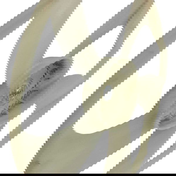 Ventoinha Radiador Toyota Corolla Gli 1.8 Cvt 2017 Detalhe