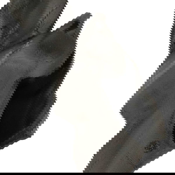 Guarda Pó Lado Direito Jeep Compass Flex 2018 Preto