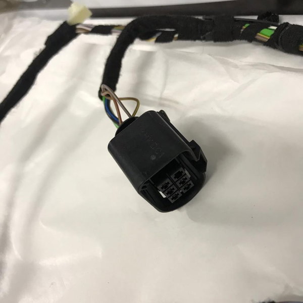 Chicote Porta Traseira Direita Bmw 320i 2018