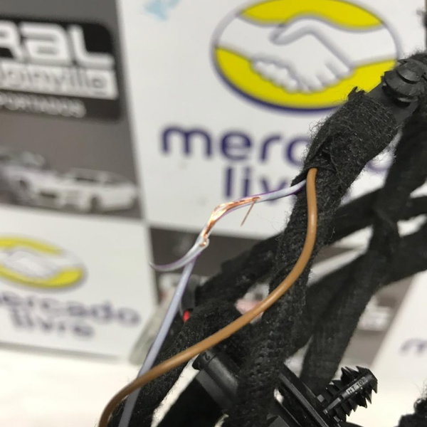 Chicote Porta Traseira Direita Bmw 320i 2018
