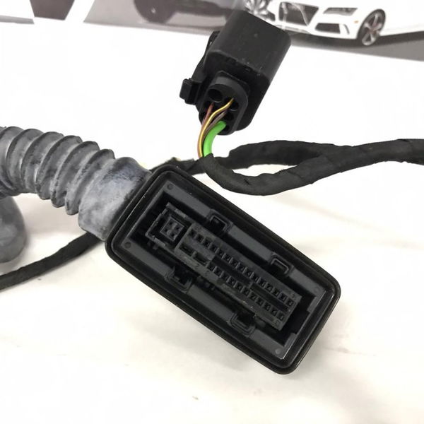 Chicote Porta Traseira Direita Bmw X5 F15 35i 2015 2016