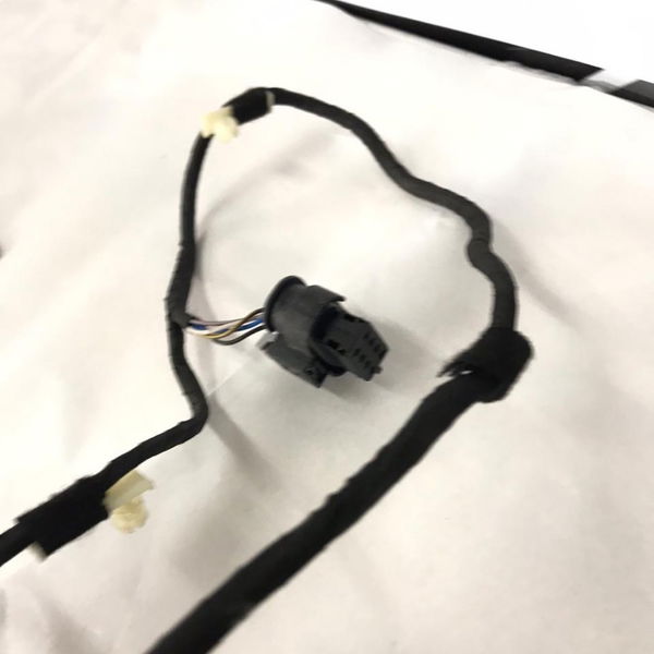 Chicote Porta Traseira Direita Bmw X5 F15 35i 2015 2016