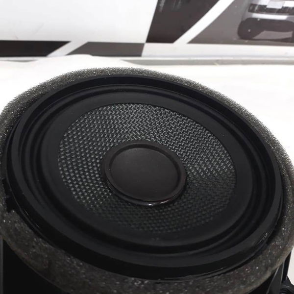 Alto Falante Porta Traseira Esquerda Bmw X5 F15 2015 2016