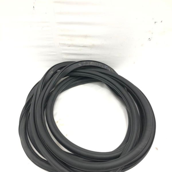Borracha Porta Traseira Vw Tiguan 2019 2020  Unidade