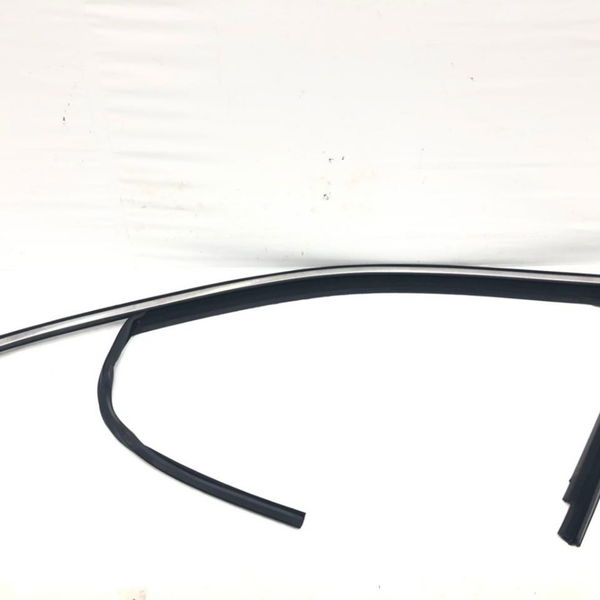 Canaleta Borracha Dianteira Esquerda Vw Tiguan 2020 Usado