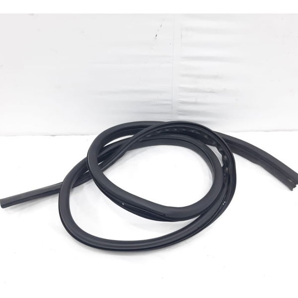 Borracha Porta Traseira Direita Ford Focus 2012 Usado
