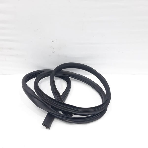 Borracha Porta Traseira Esquerda Ford Focus 2012 Usado