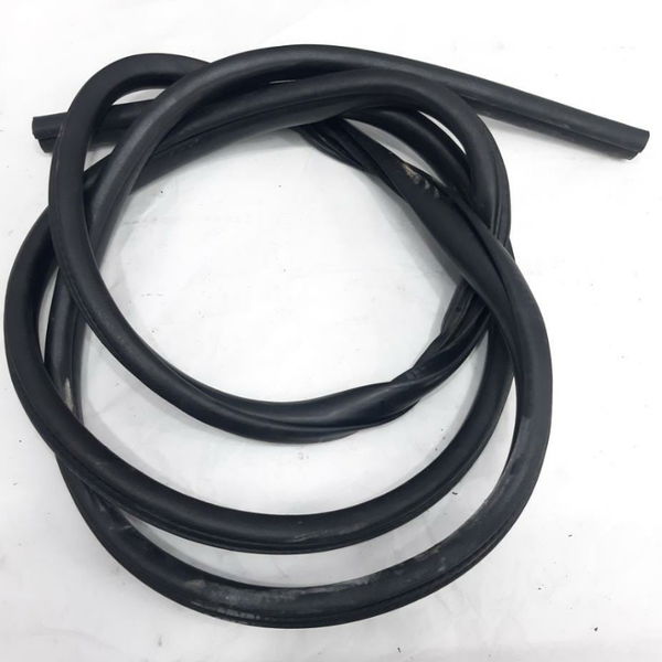 Borracha Porta Traseira Esquerda Dodge Journey 2014 